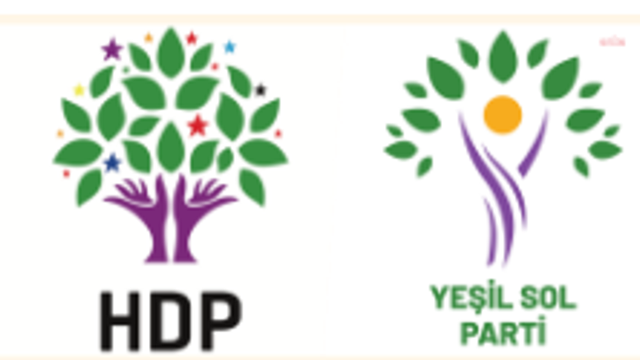 Yeşil Sol Parti ve HDP: Siyaset yapma biçimimizi yeniden yapılandıracağız